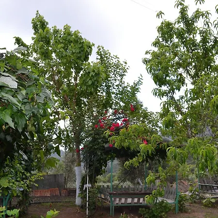 Panaroma Olympos