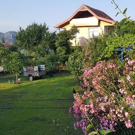 Panaroma *