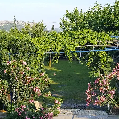Panaroma *