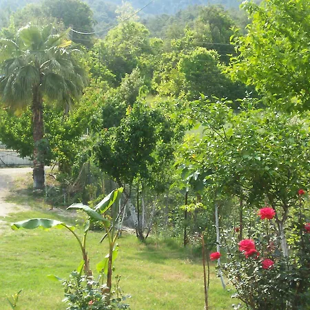 Panaroma * Olympos