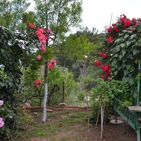 Panaroma