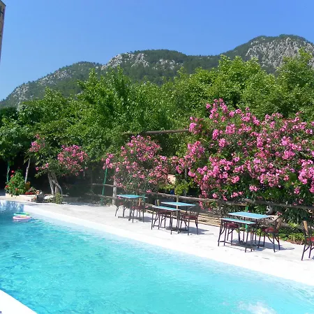 Panaroma Homestay szállás Olympos